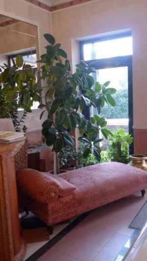Triple Room,62212663:JPEG